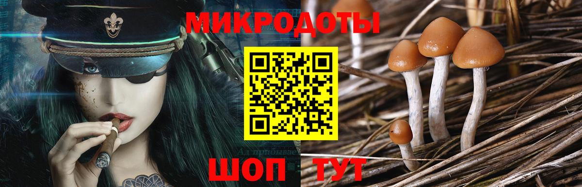 Гулькевичи  дарнет шоп  Вход с VPN  Галлюциногенные грибы Magic Shrooms  Галлюциногенные грибы Cubensis 